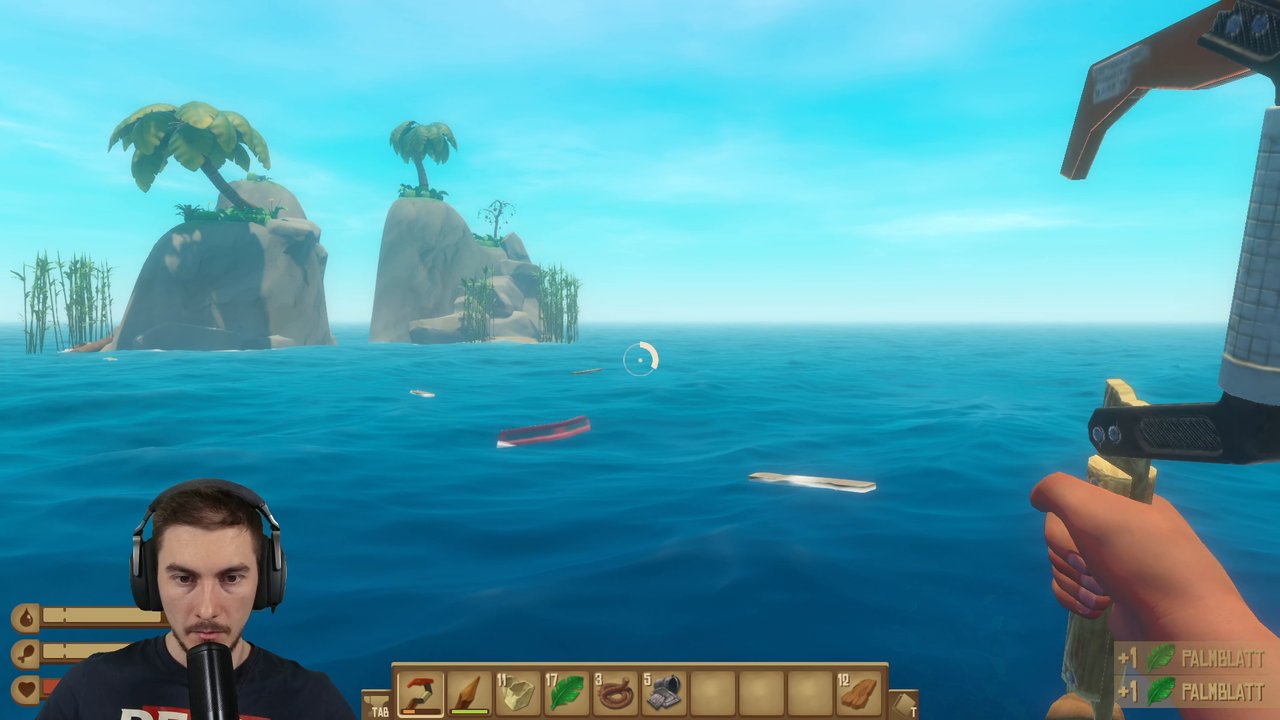 Standbild aus dem Stream (vorher)